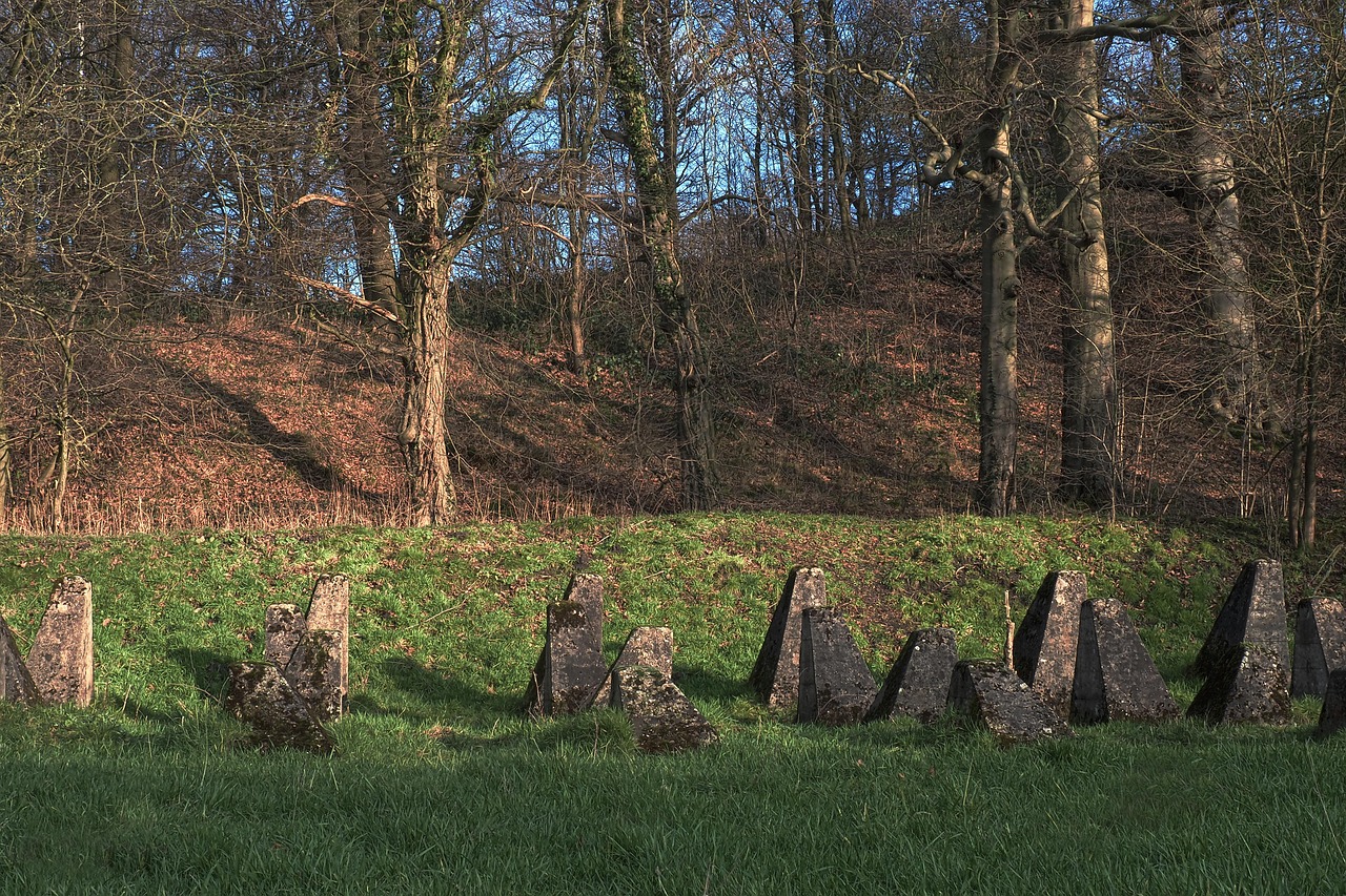 月租已实名三网卡- 鹤壁品牌白酒代理平台