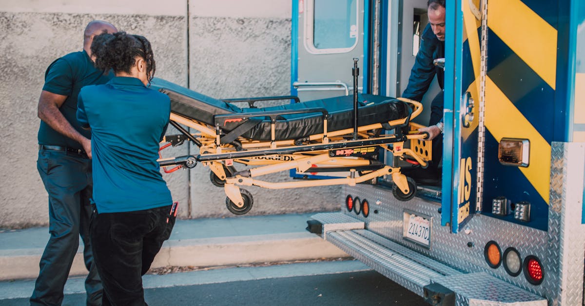 诛仙2：普陀区代理注册公司查询