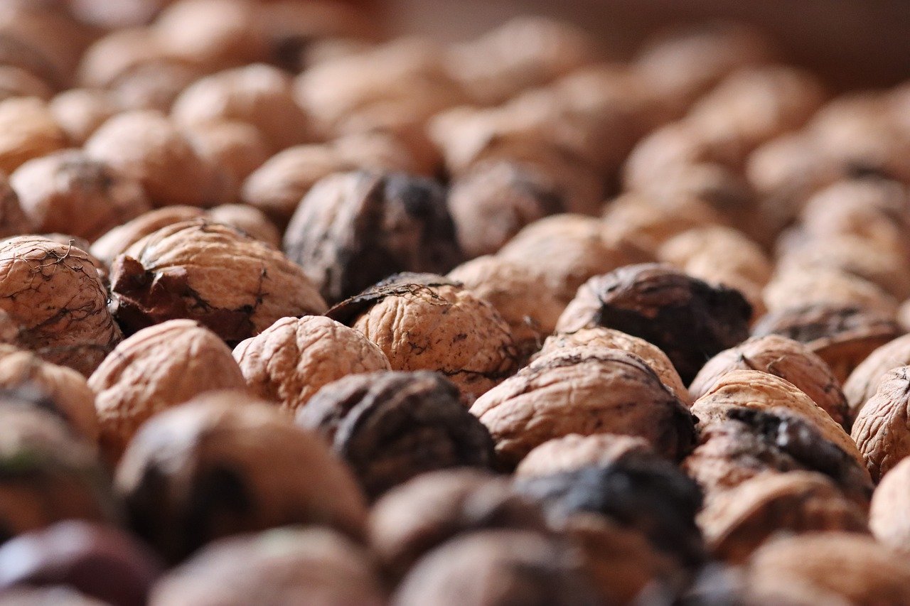 香烟请假和缺勤