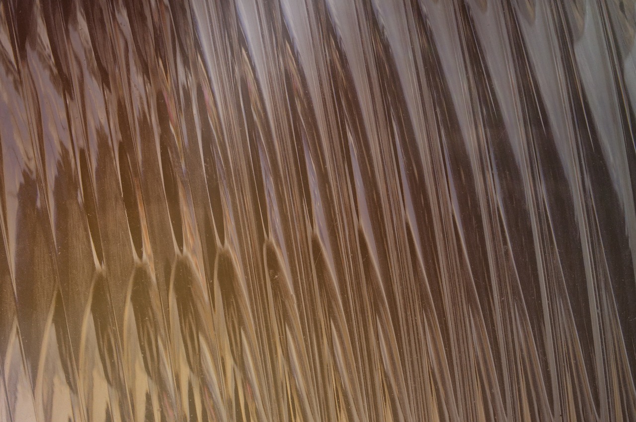 纯流量卡免实名：详情下载教程移动 APP.