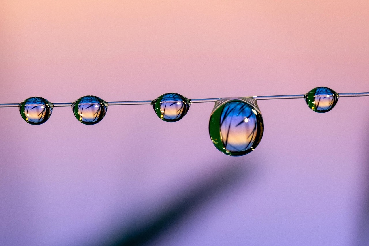 老微信号码批发：嗨花app详情下载教程