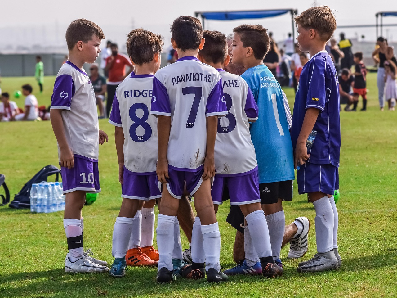 独享代理ip平台