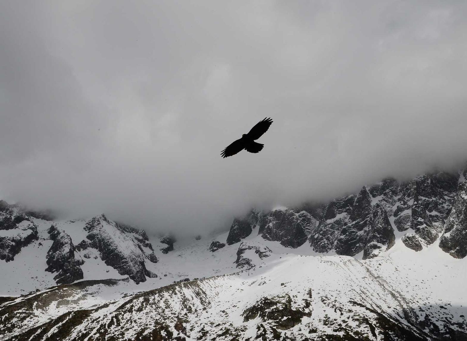 远特信时空实名账号：帝国金app详情下载教程