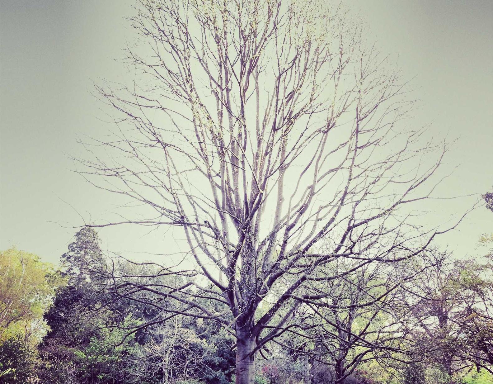 星美生活实名账号：实名账号对于网络救助的意义