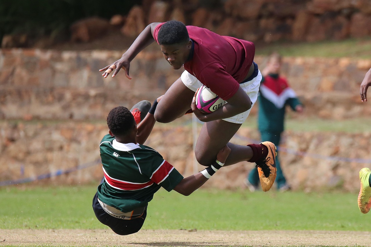 如何防御恶意技术支持攻击？